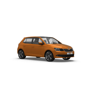 Skoda Fabia Hayon (2014-2019) Gardes