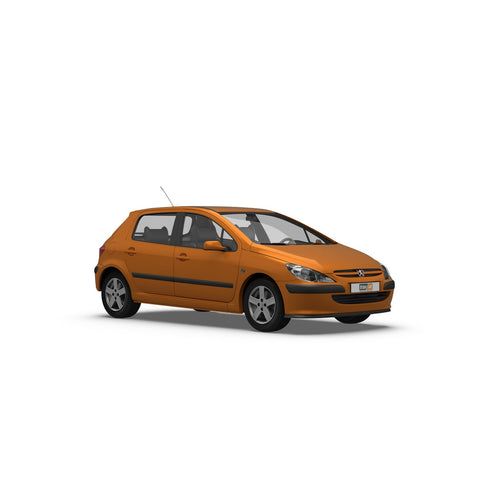 Peugeot 307 Hayon (2001-2005)