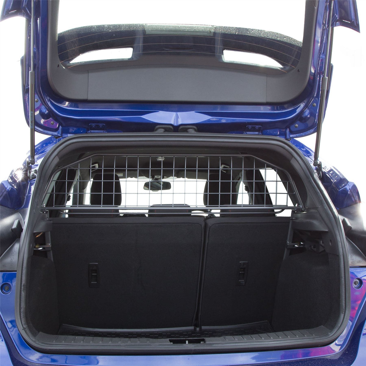 Ford Focus Hatchback grille de séparation (2014-2018)
