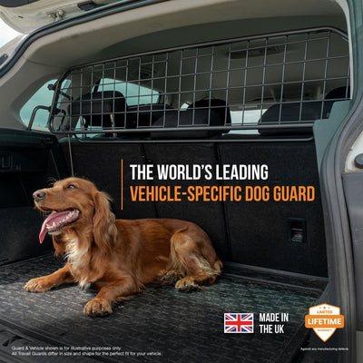 Ensemble grille de séparation et séparateur pour chiens VW Tiguan (2016-2024)