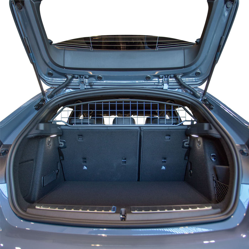 BMW 1 Series grille de séparation (2019-2024)