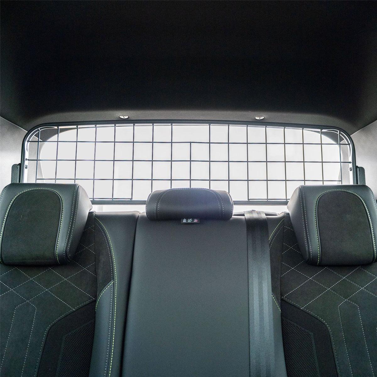 Peugeot 2008 Hondenrek (2019-heden)