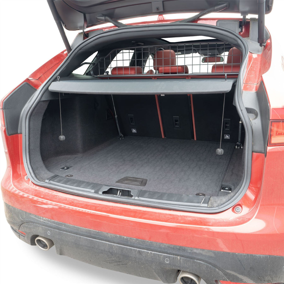 Griglia divisoria del cane Jaguar F-Pace (2021-on)
